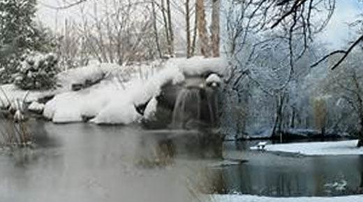 Winterize your Pond: Keep your Fish Alive and Make Springtime Easier - Midwest Ponds