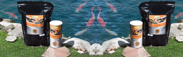 Koi Food and Small Backyard Ponds