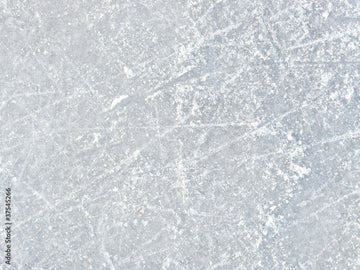 Backyard Ice Rinks