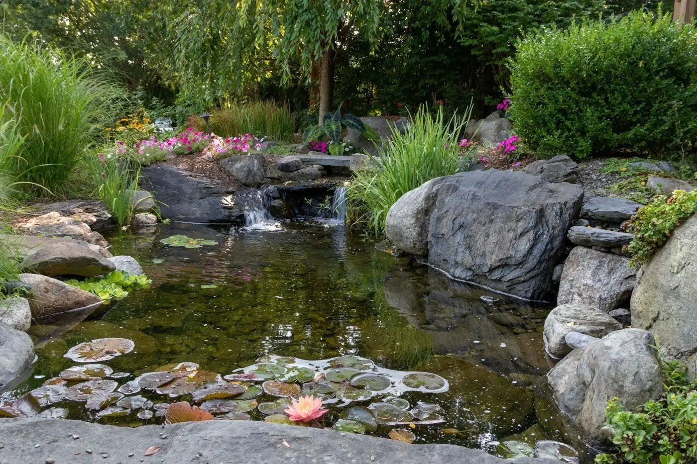 Dive into Delight: Unwrapping the Perfect Gifts for Backyard Pond Enthusiasts