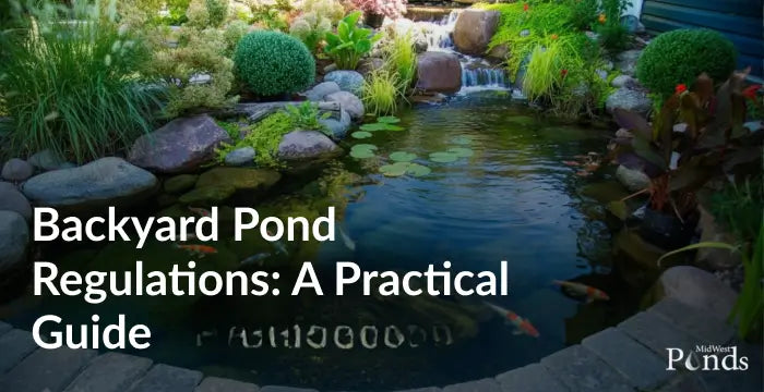 Backyard Pond Regulations: A Practical Guide Before You Dig