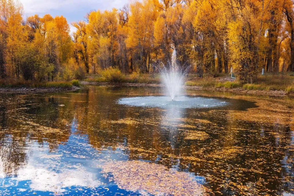 115V or 230V: Figuring Out which is Best for Your Fountain