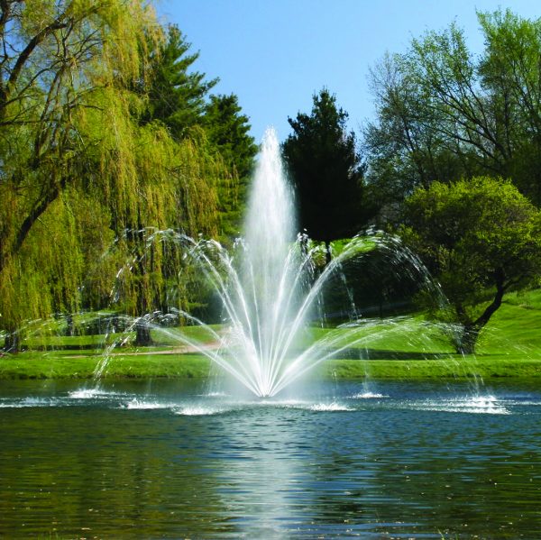 Fountain of Youth or Fountain of Truth? The Duel of Decorative and Aerating Water Features