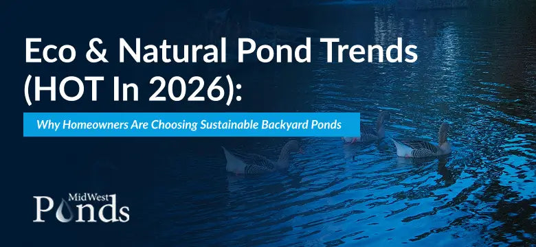 Eco & Natural Pond Trends (HOT in 2026): Why Homeowners Are Choosing Sustainable Backyard Ponds