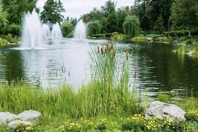 Fountain of Youth or Fountain of Truth? The Duel of Decorative and Aerating Water Features