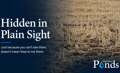 Hidden in Plain Sight: Just because you can’t see them, doesn’t mean they are not there