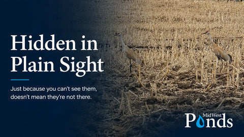 Hidden in Plain Sight: Just because you can’t see them, doesn’t mean they are not there