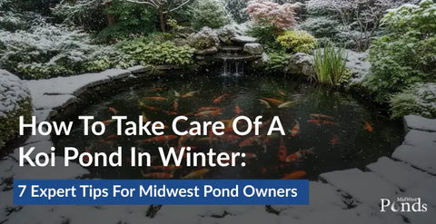 How to Take Care of a Koi Pond in Winter: 7 Expert Tips for Midwest Pond Owners