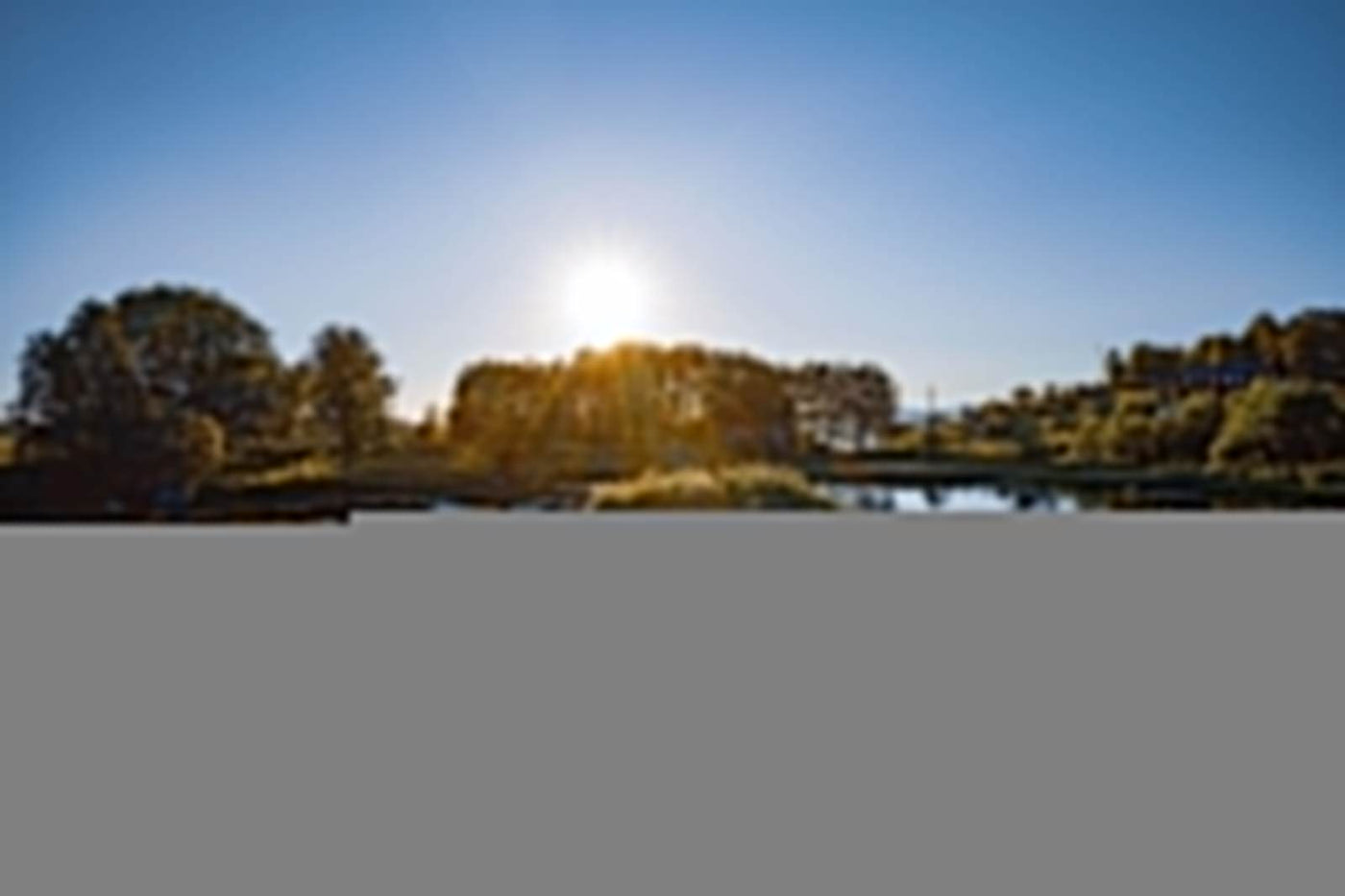 Nitrogen, and Why it’s Important to Your Pond