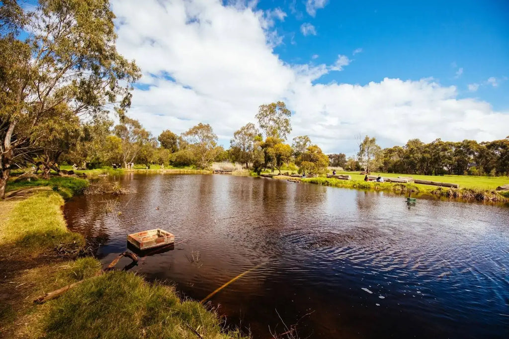 Phosphorus, and Why it’s Important to your Pond