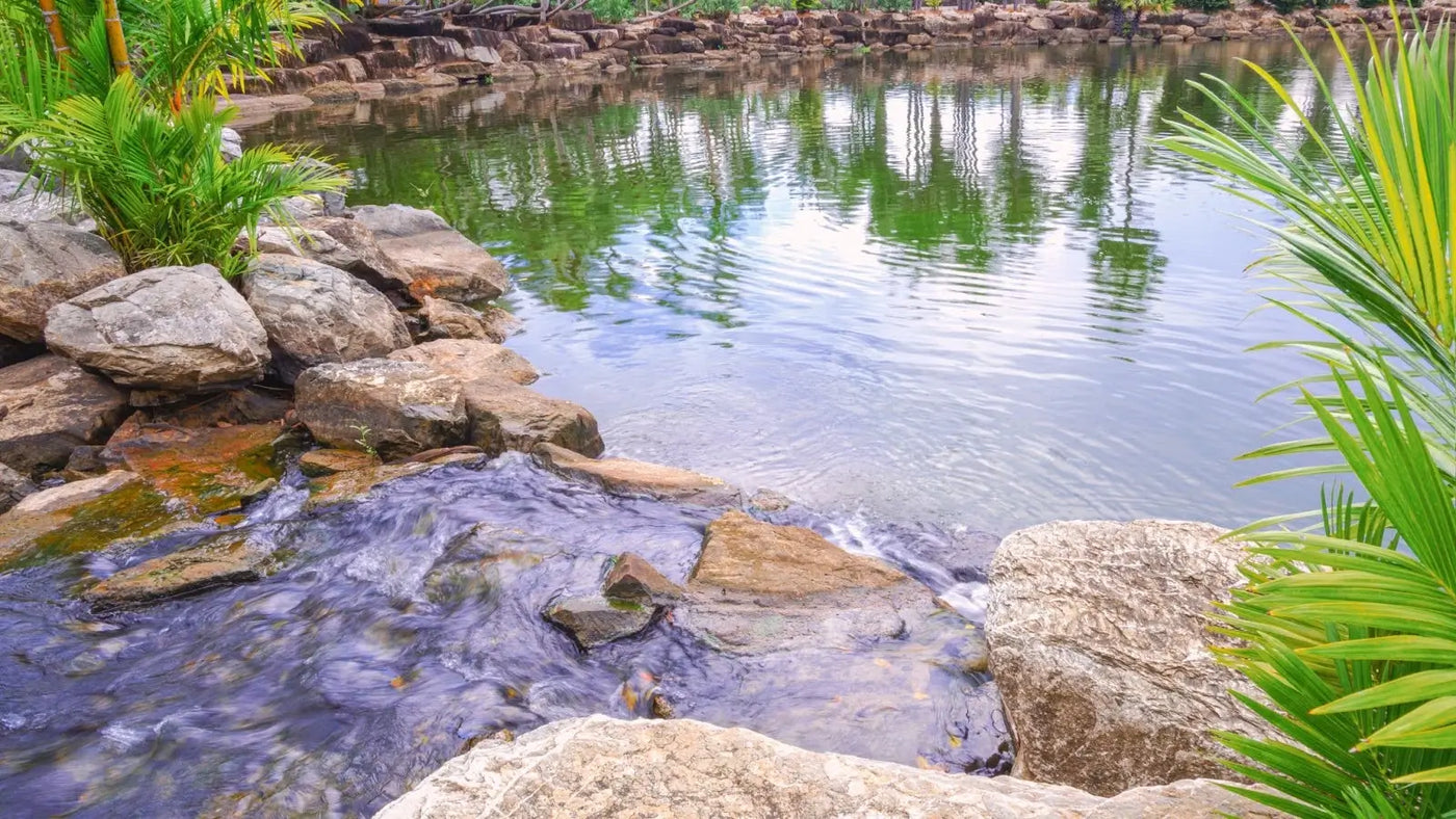 Pond Design II: 3 Pro Tips to Make Your Pond the Best It Can Be.
