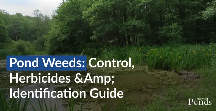 Pond Weeds: Control, Herbicides & Identification Guide