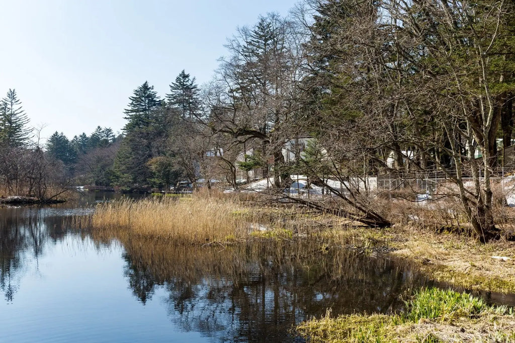 Spring Pond Cleanout: Essential for Aesthetics and Fish Health