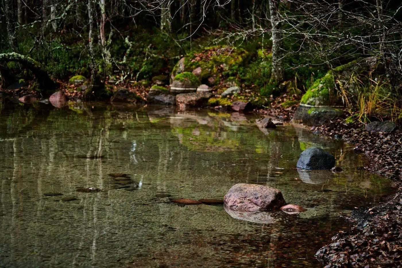 The Ripple Effect: How Climate Change Will Impact Small Ponds