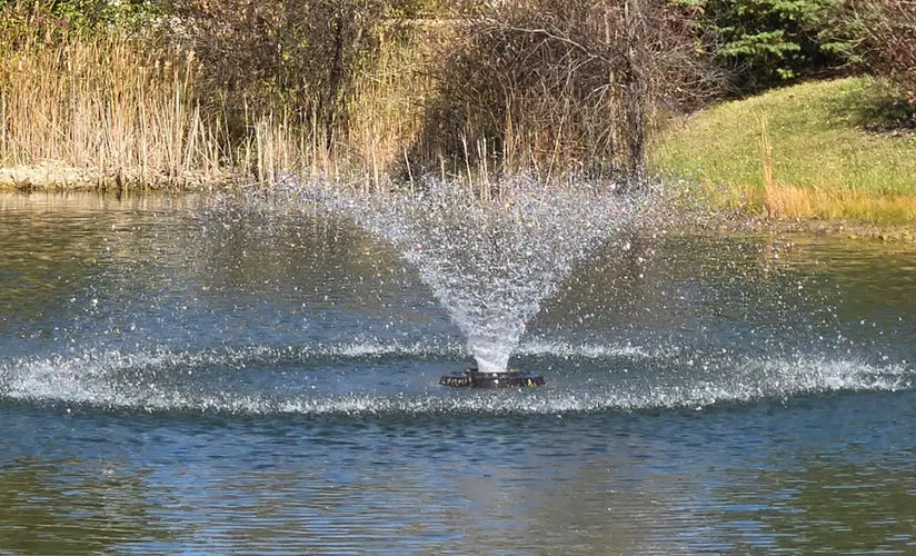 Why Every Pond Needs a Fountain Aerator (And How to Choose the Right One)