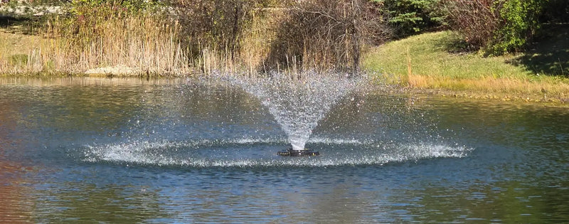Why Every Pond Needs a Fountain Aerator (And How to Choose the Right One)