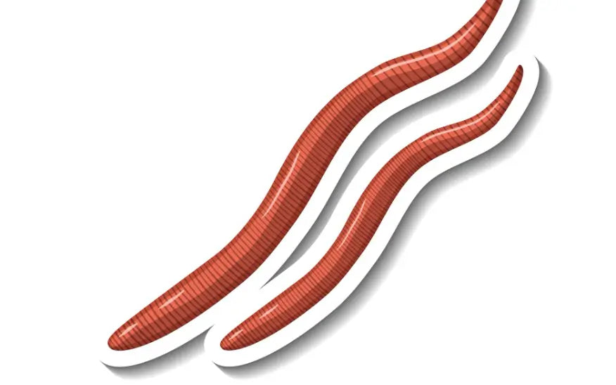 How to Get Rid of Leeches in Lakes and Ponds (Without Freaking Out!)