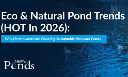 eco and natural pond trends