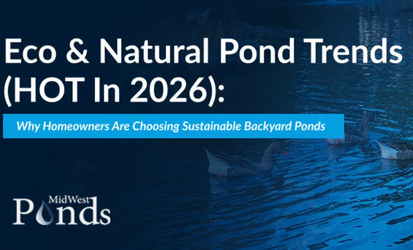 eco and natural pond trends