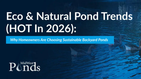 eco and natural pond trends