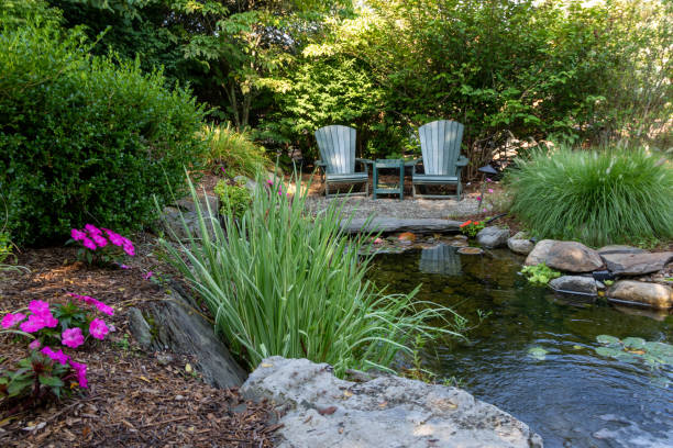 Dive into Delight: Unwrapping the Perfect Gifts for Backyard Pond Enthusiasts