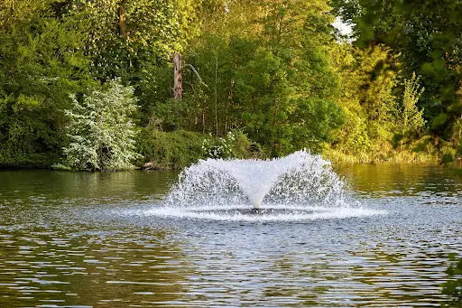 Fountain Aerators Vs Diffused Aerators