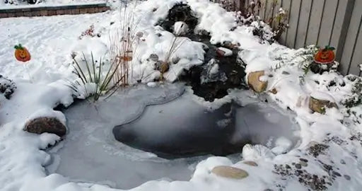 Do I Need to Shut Down My Pond Pump in Winter?