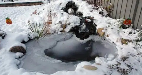 Do I Need to Shut Down My Pond Pump in Winter?