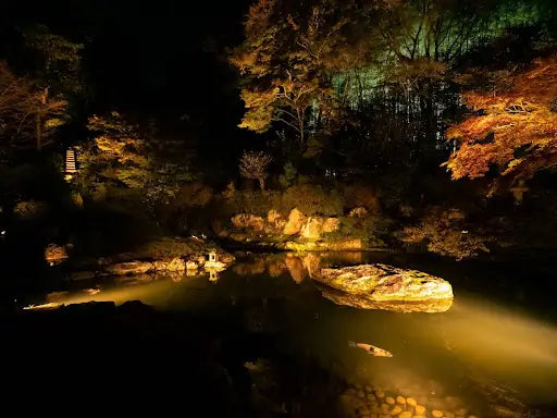 Adding lights to your backyard watergarden and waterfall