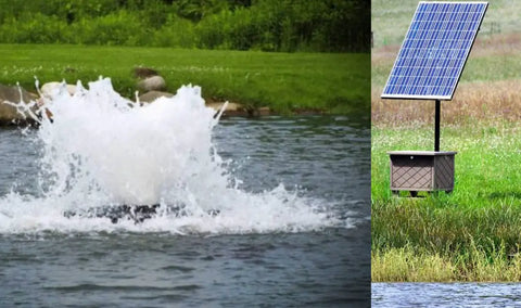 Solar-Powered Pond Options for Pond Health and Efficiency with Premium Aeration Solutions