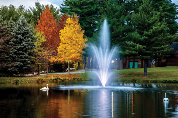 Scott Aerator: Amherst Fountain | 2 HP 230V, 100-250 ft Cord