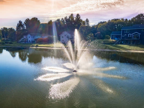 Scott Aerator: Atriarch Fountain | 1/2 HP 230V, 70 ft Cord