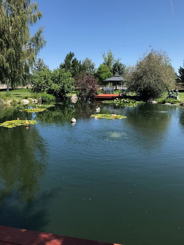 Easy Pro: 2 - Diffused Aeration System | Sub-Surface Diffused Aeration | Bottom Bubbler Kits for Ponds | DIY Aeration for Ponds