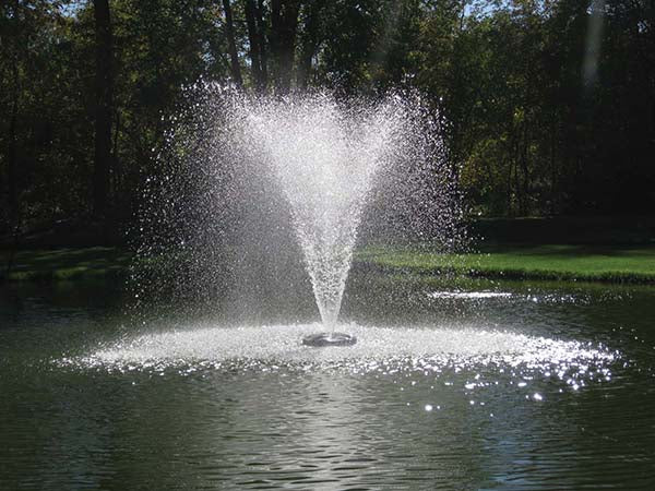 EasyPro: Narrow Umbrella nozzle only - 2" npt for 24" ACF fountain heads only