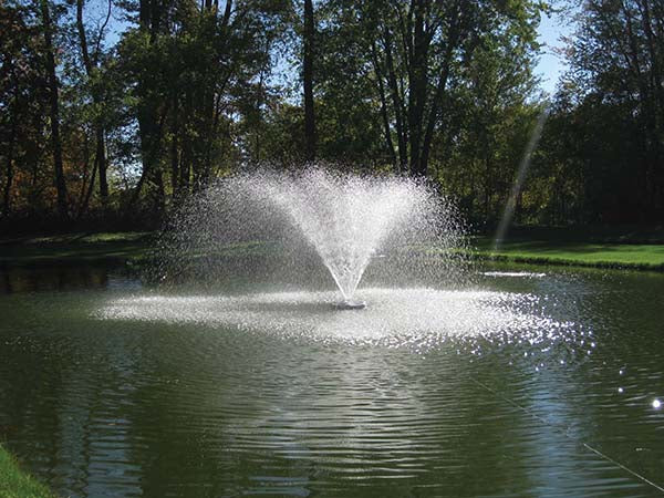 EasyPro: Wide Umbrella nozzle only - 2" npt for 24" ACF fountain heads only