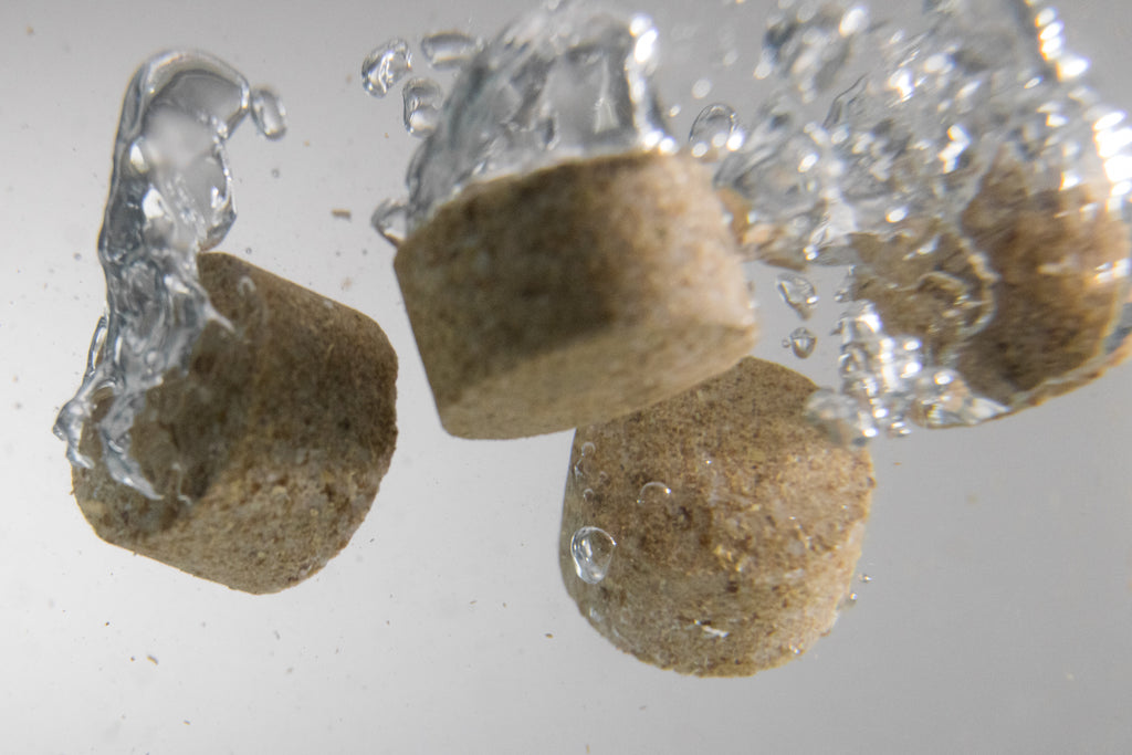 Kasco: Macro-Zyme Beneficial Bacteria | MZMB5, MZMP7, MZ8