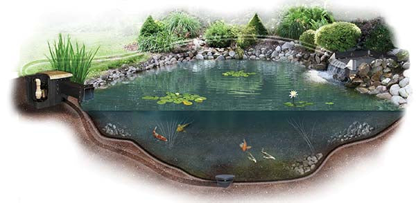 EasyPro: Complete Pond Kit | Mini to Large, 6' x 6' to 34' x 34' Ponds