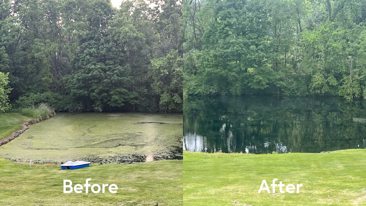 Scott Aerator: Algae Shield 10KG Powder