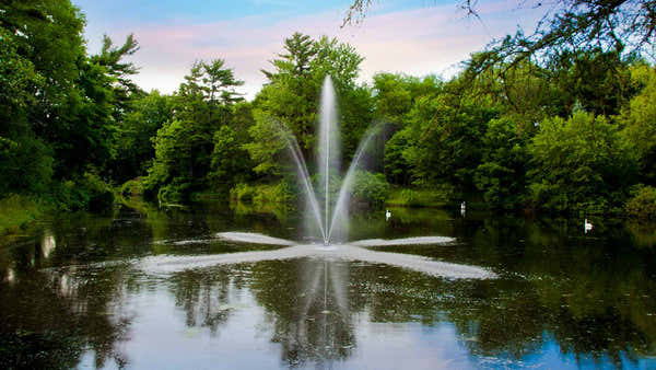 Scott Aerator: Clover Fountain | 3/4-3 HP, 115V & 230V, 100-250 ft Cord