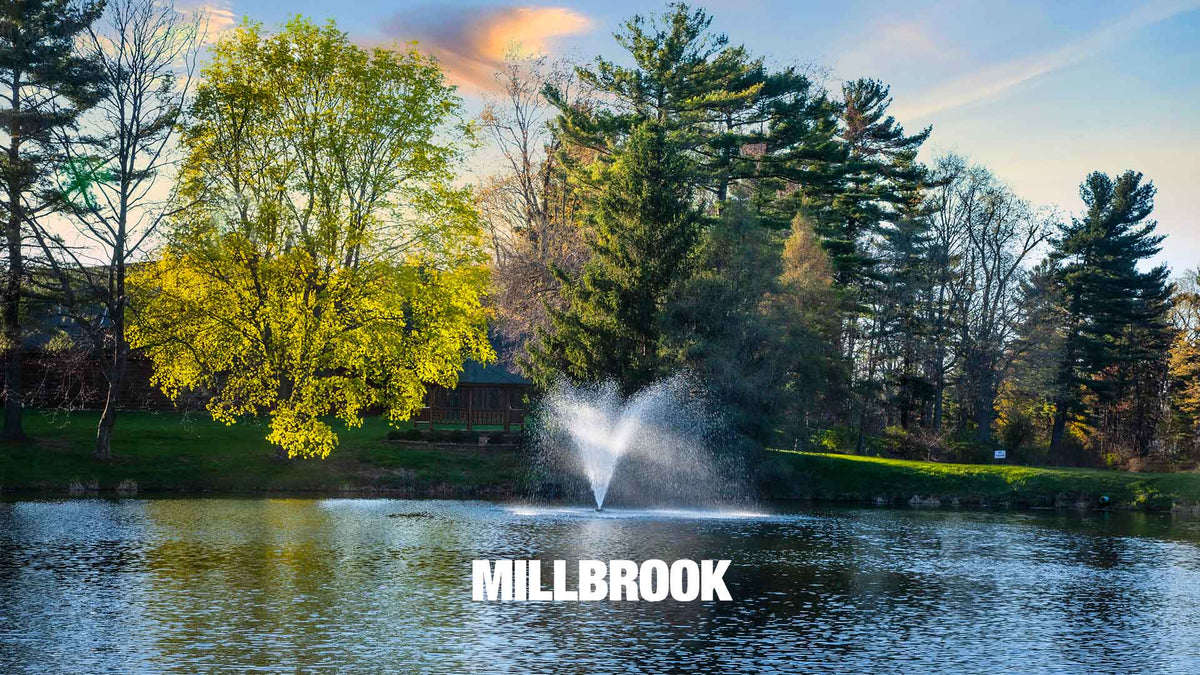 Scott Aerator: Great Lakes Fountain | 2 & 3 HP, 230V, 100-250 ft Cord