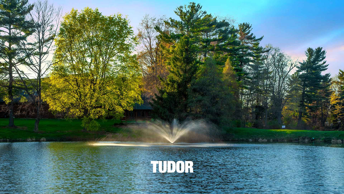 Scott Aerator: Great Lakes Fountain | 2 & 3 HP, 230V, 100-250 ft Cord