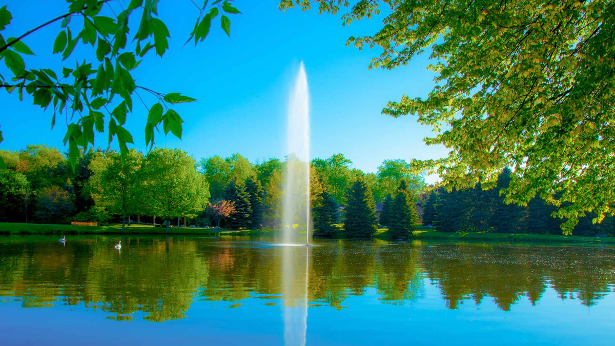 Scott Aerator: Gusher Fountain | 1/2-2 HP, 115V & 230V, 70-250 ft Cord