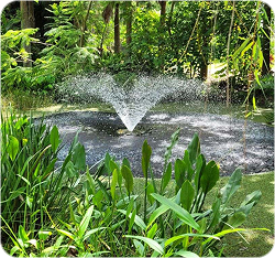 Shop the Best Pond Pumps, Solar, and Magnetic Drive Pond Pumps.
