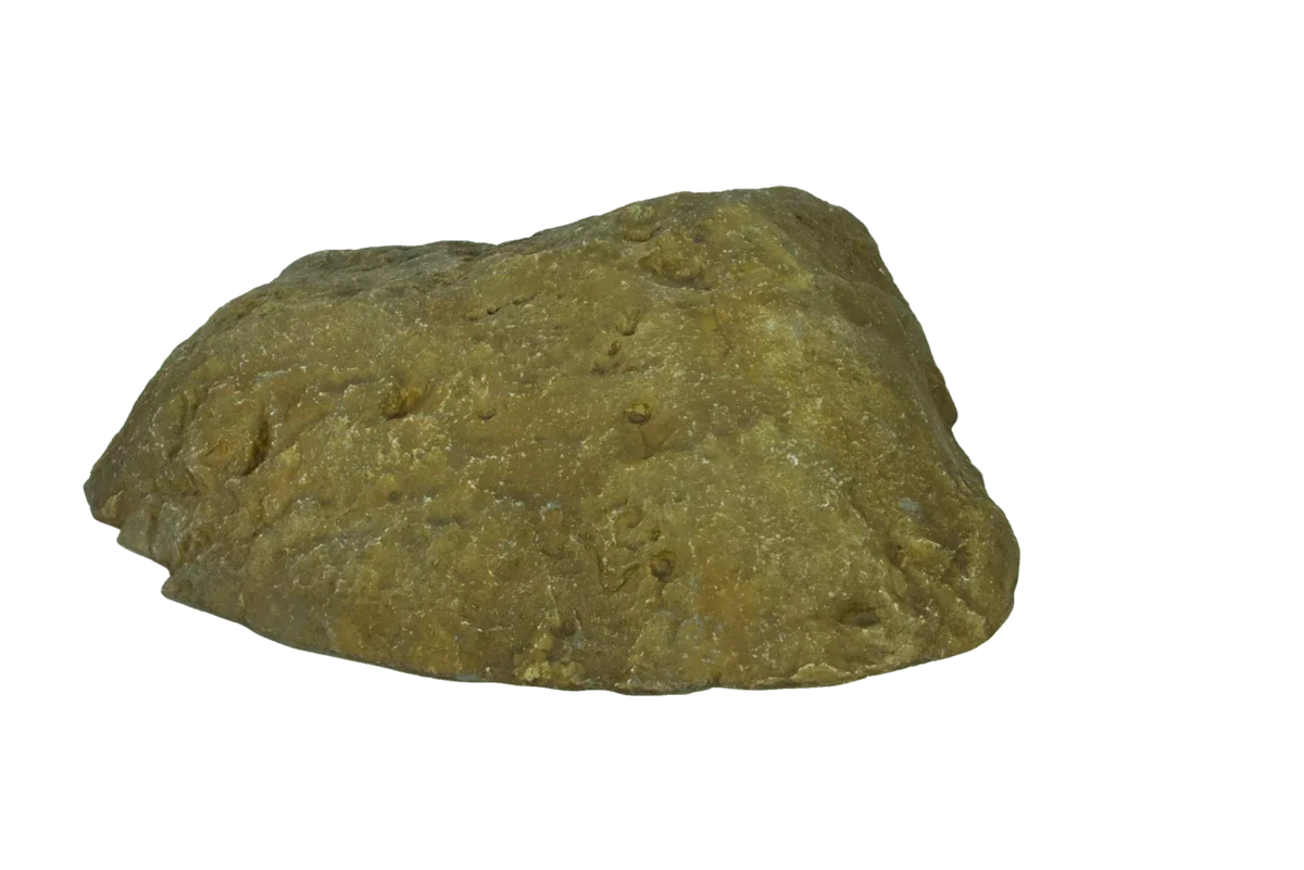 Atlantic Water Gardens: Rock Lid | Small, Medium & Large