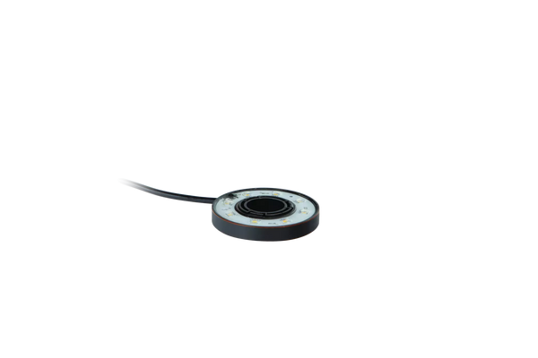 Atlantic Water Gardens: Ring Light | 5 W, Warm White or Color Changing