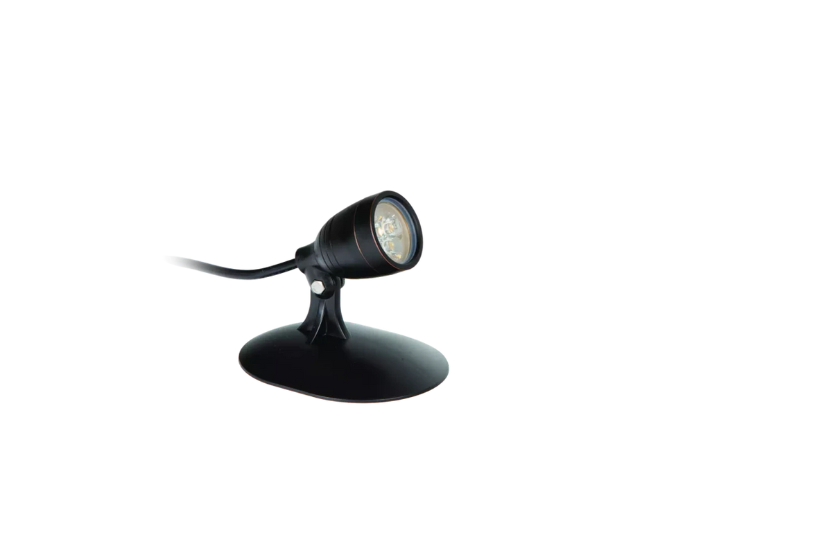 Atlantic: Ww Compact Spotlight