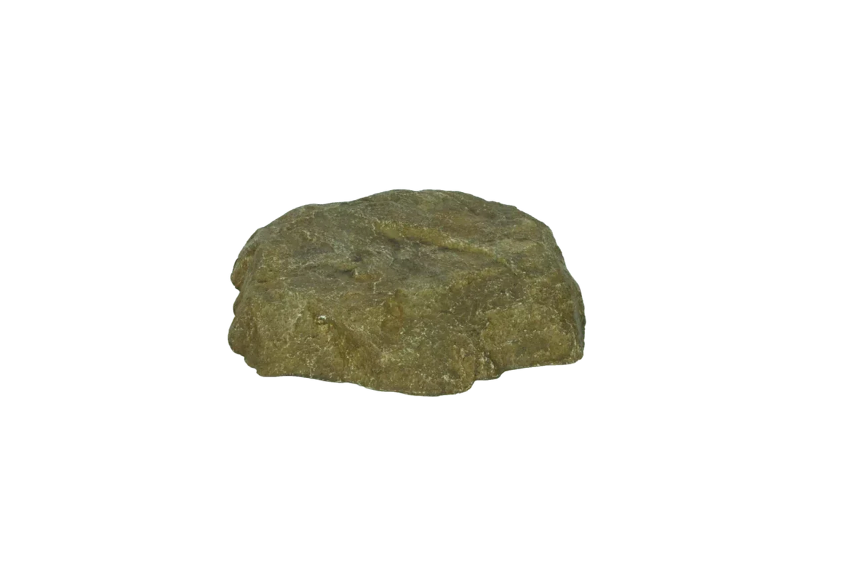 Atlantic Water Gardens: Rock Lid | Small, Medium & Large