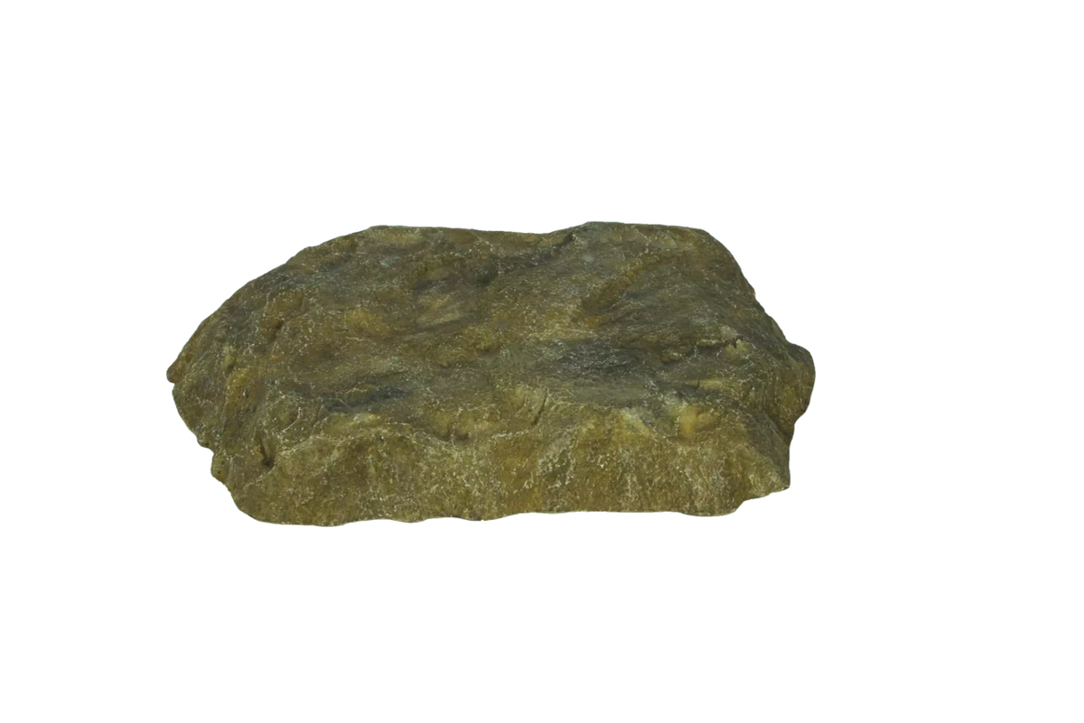Atlantic: Medium Rock Lid - Great Lakes