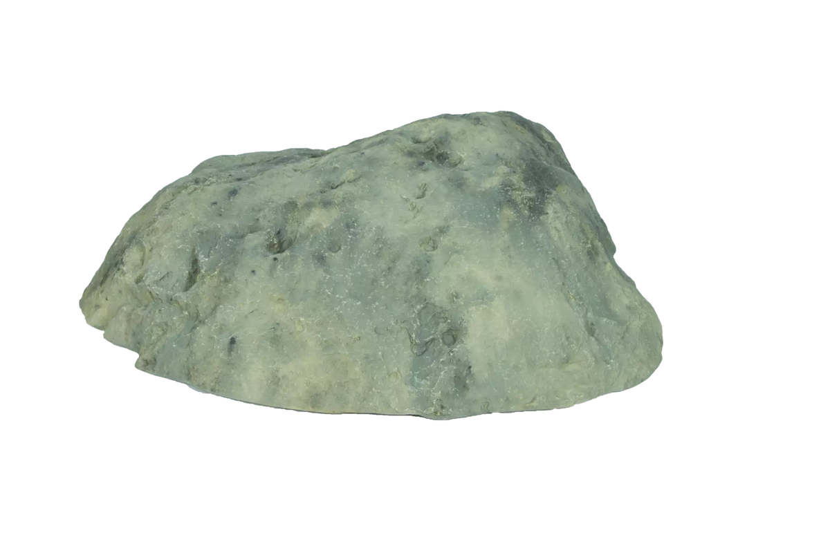 Atlantic Water Gardens: Rock Lid | Small, Medium & Large
