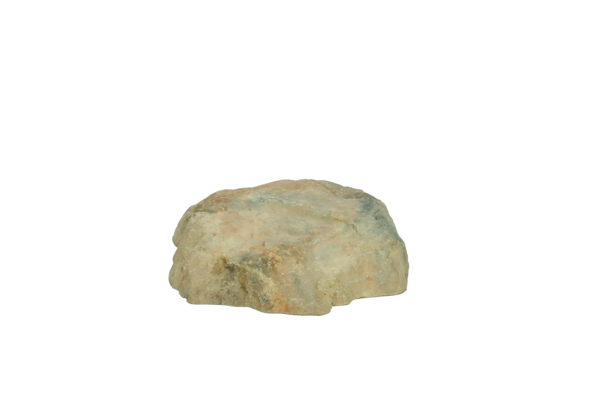 Atlantic Water Gardens: Rock Lid | Small, Medium & Large